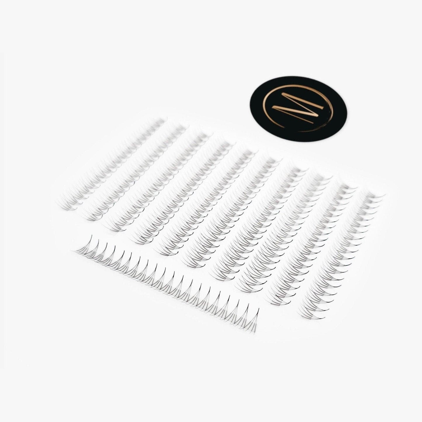 4D Rapid Promade Fans® - 1000 Fans