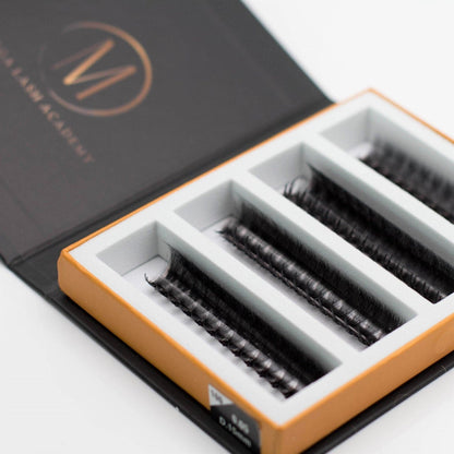 10D Mix Rapid Promade Fans® - 1000 Fans