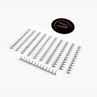 10D Rapid Promade Fans® - 1000 Fans