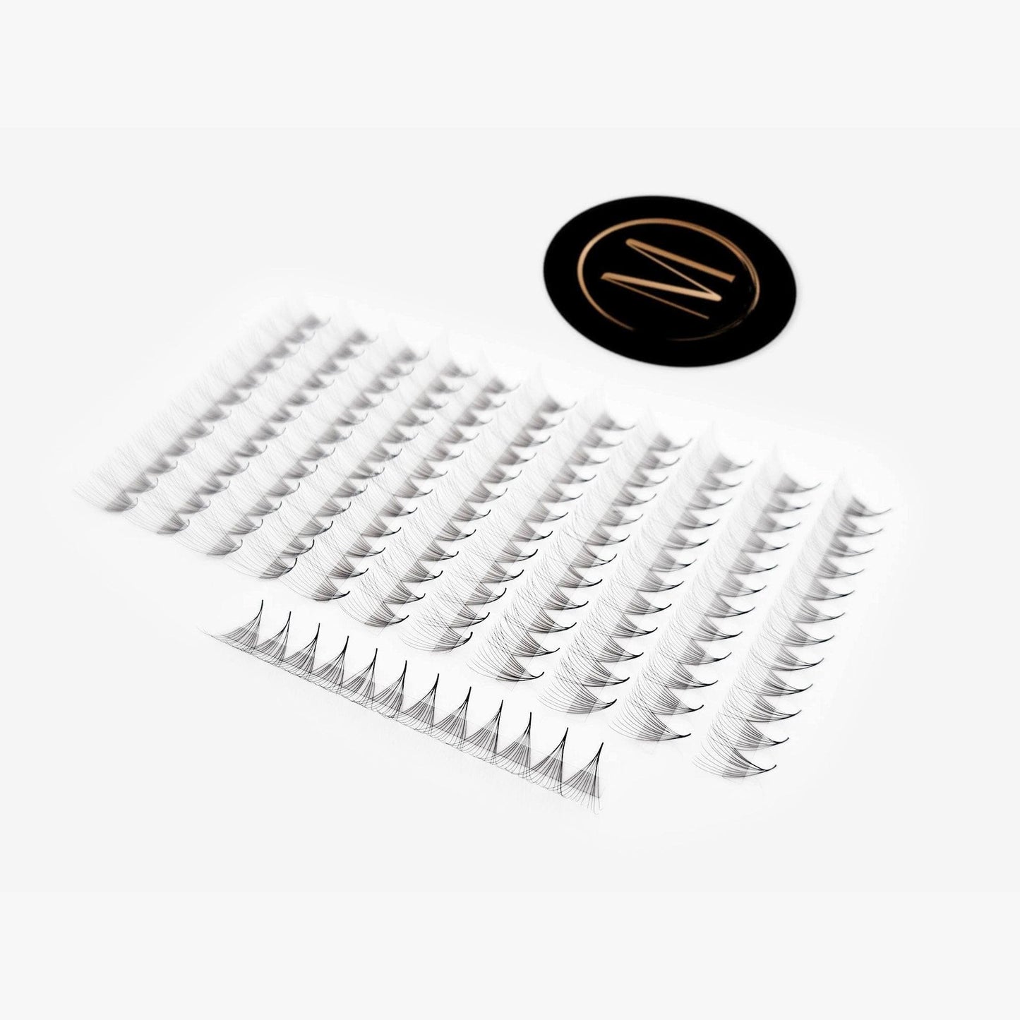 12D Mix Rapid Promade Fans® - 1000 Fans