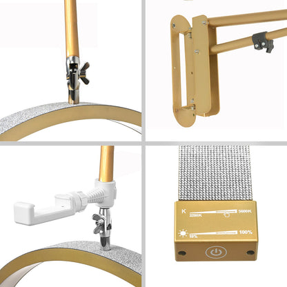 Luna 🌙  LED Wall Mount Half Moon Light