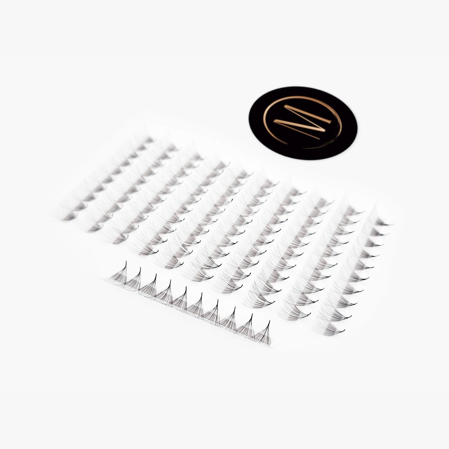 14D Rapid Promade Fans® - 1000 Fans
