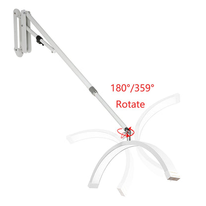 Luna 🌙  LED Wall Mount Half Moon Light