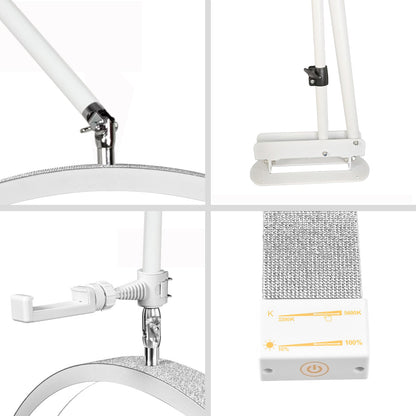 Luna 🌙  LED Wall Mount Half Moon Light