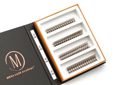 6D Brown Rapid Promade Fans - Coffee