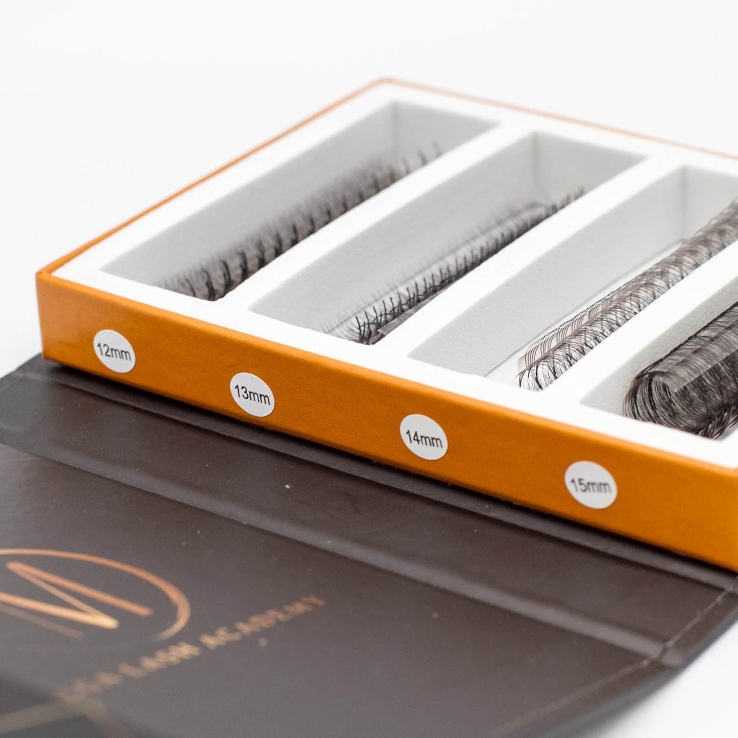 6D Mix Rapid Promade Fans® - 1000 Fans