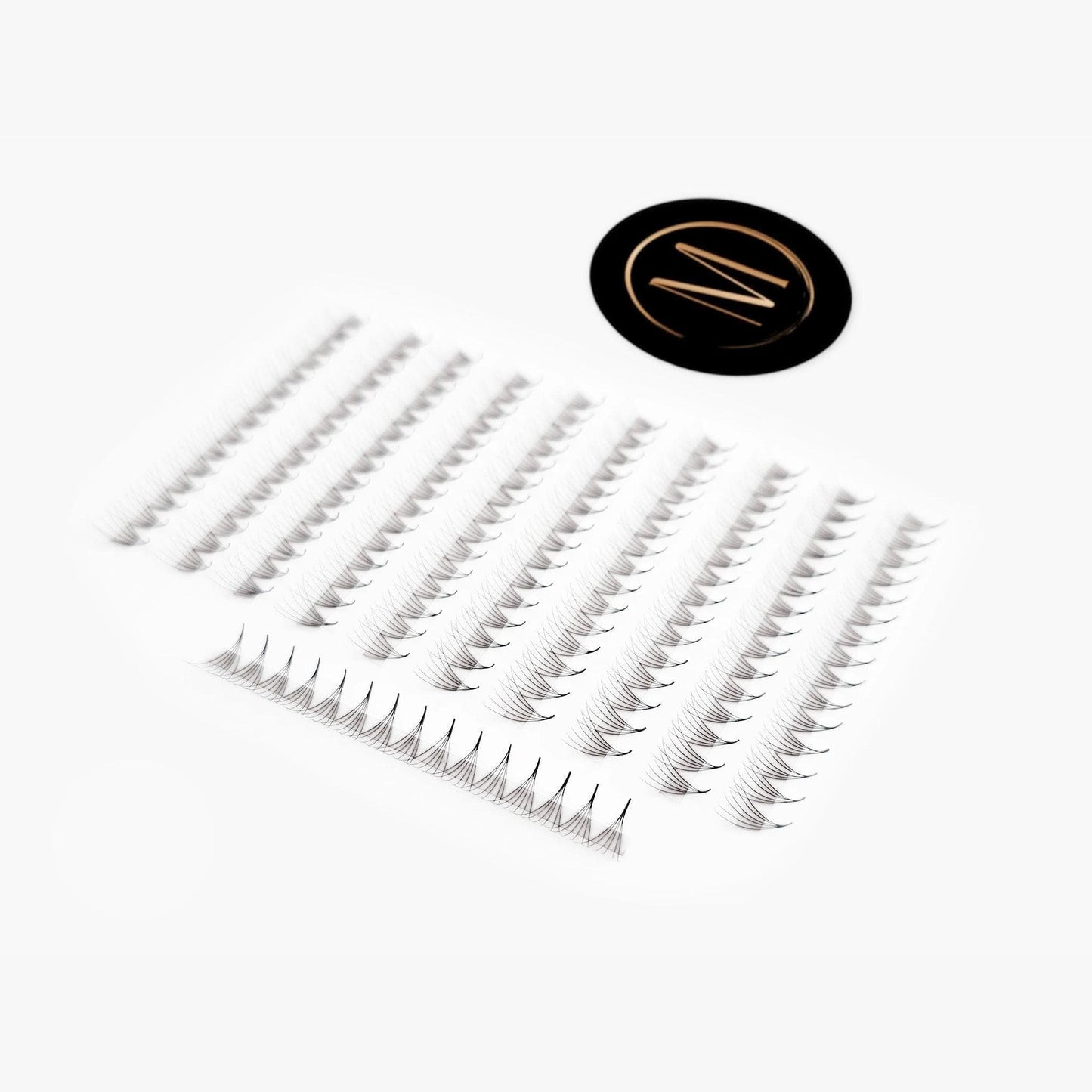 6D Mix Rapid Promade Fans® - 1000 Fans