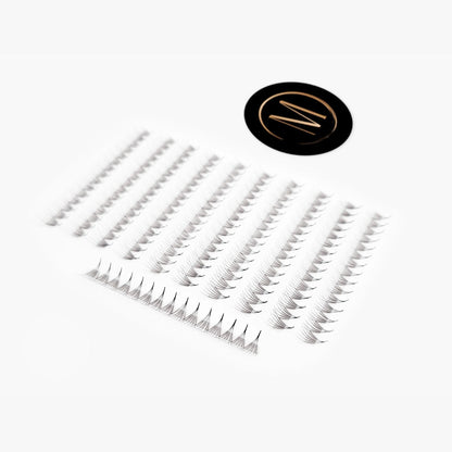 6D Rapid Promade Fans® - 1000 Fans