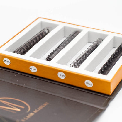 8D Mix Rapid Promade Fans® - 1000 Fans