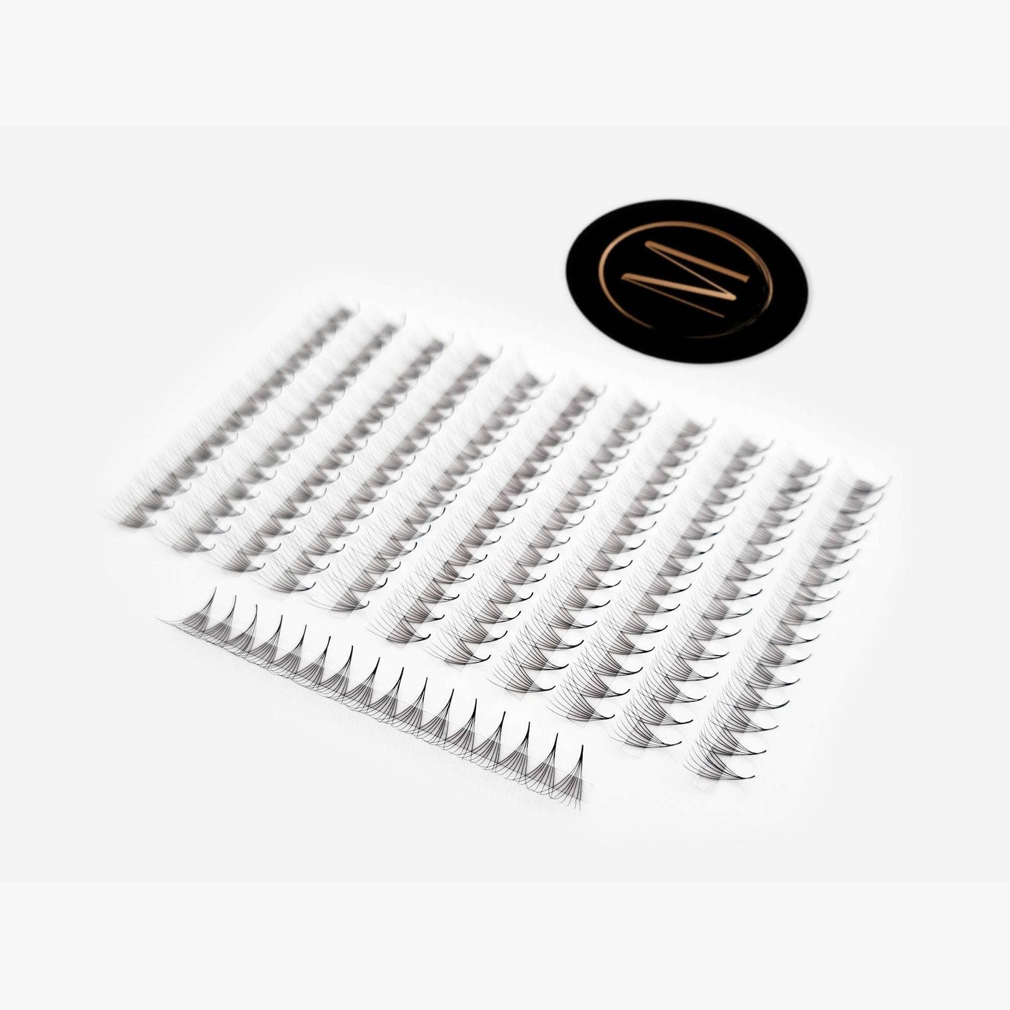 8D Rapid Promade Fans® - 1000 Fans