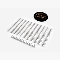 8D Rapid Promade Fans® - 1000 Fans