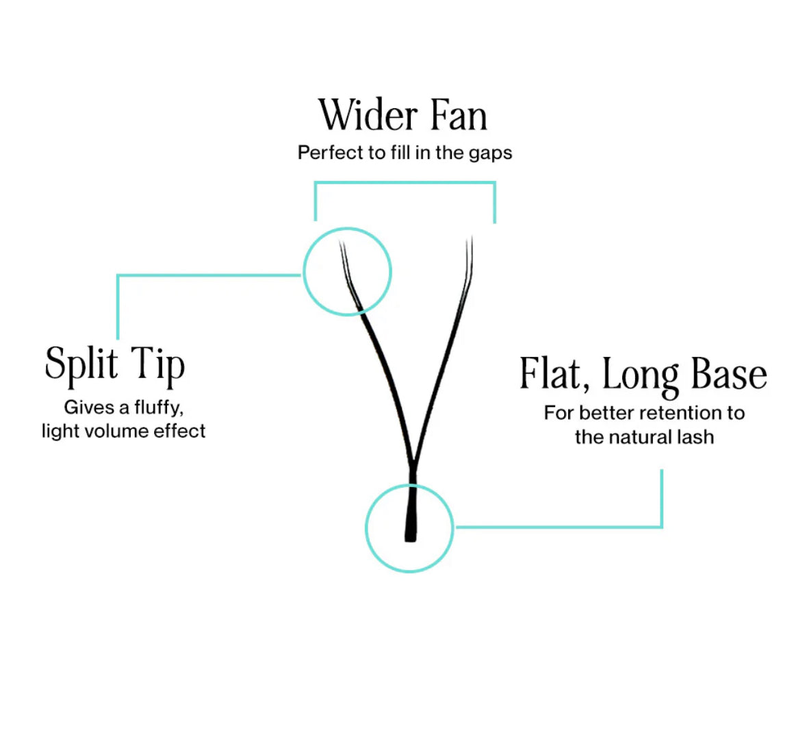 Pretty Little Y's Pre Made Fans .05