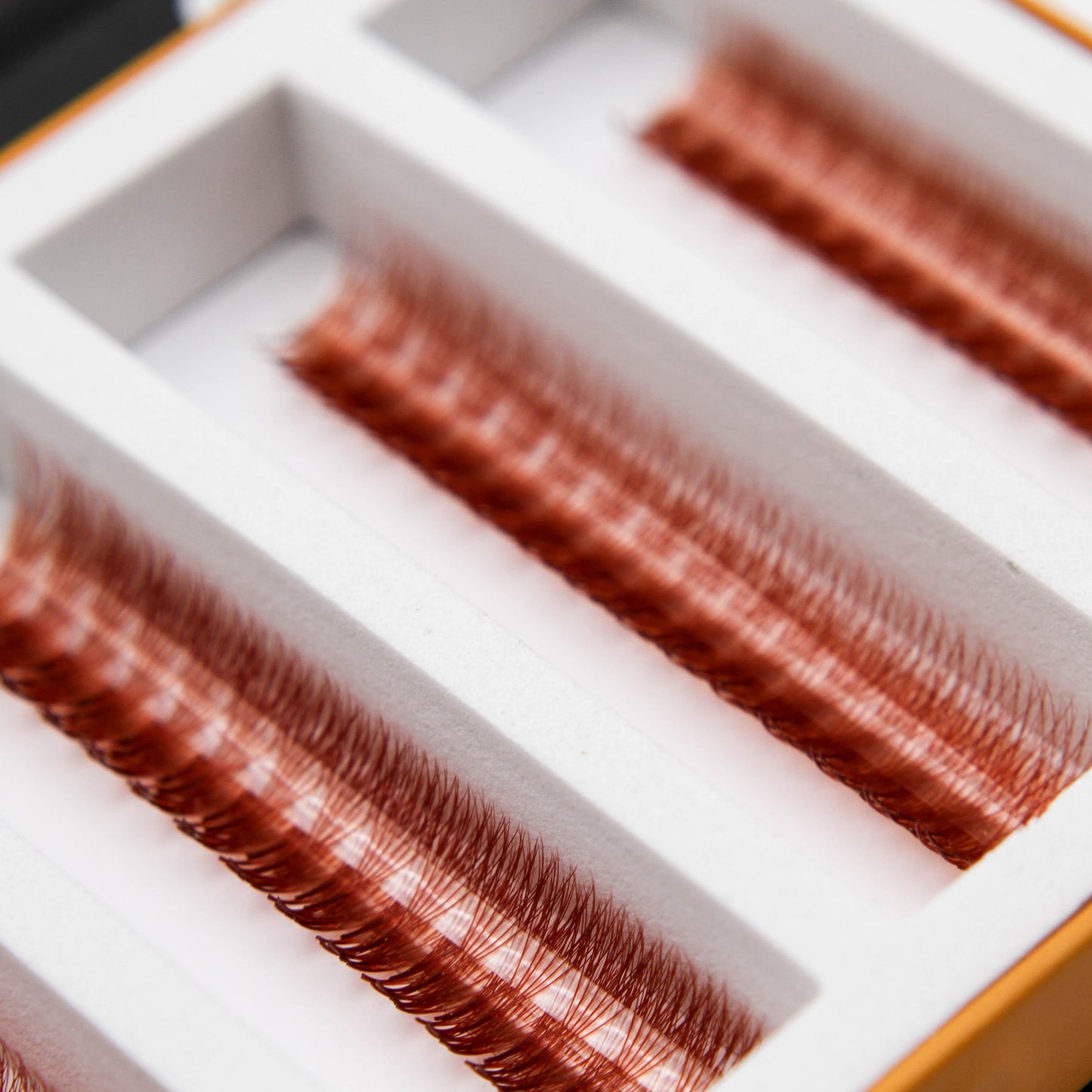 6D Brown Rapid Promade Fans - Auburn