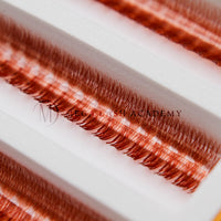 6D Brown Rapid Promade Fans - Auburn
