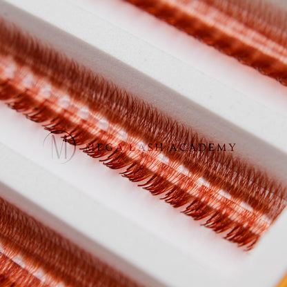 6D Brown Rapid Promade Fans - Auburn