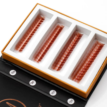 6D Brown Rapid Promade Fans - Auburn