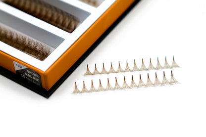 10D Brown Rapid Promade Fans