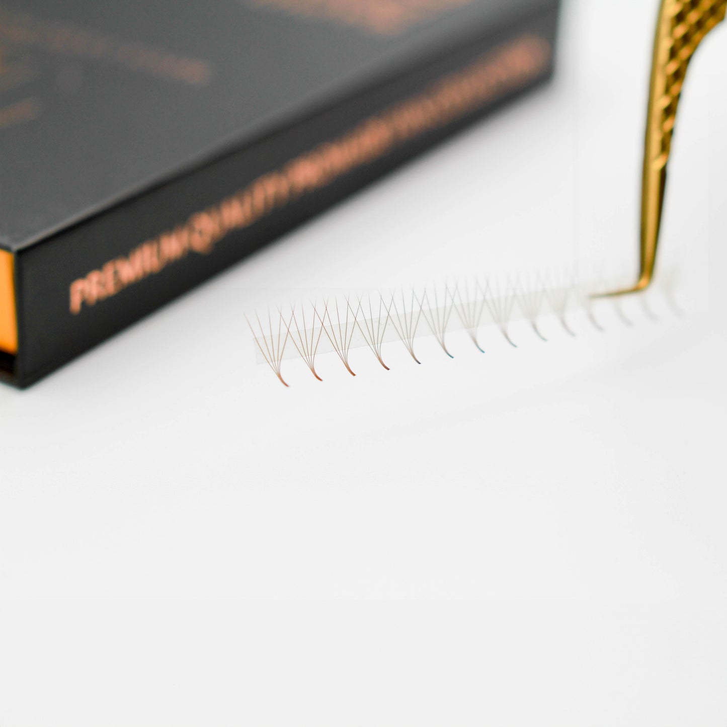 Brown M and L Curl 5D Rapid Promade Fans - 600 Fans