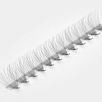 Camellia 10D Rapid Promade Fans®