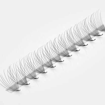 Camellia 10D Rapid Promade Fans®
