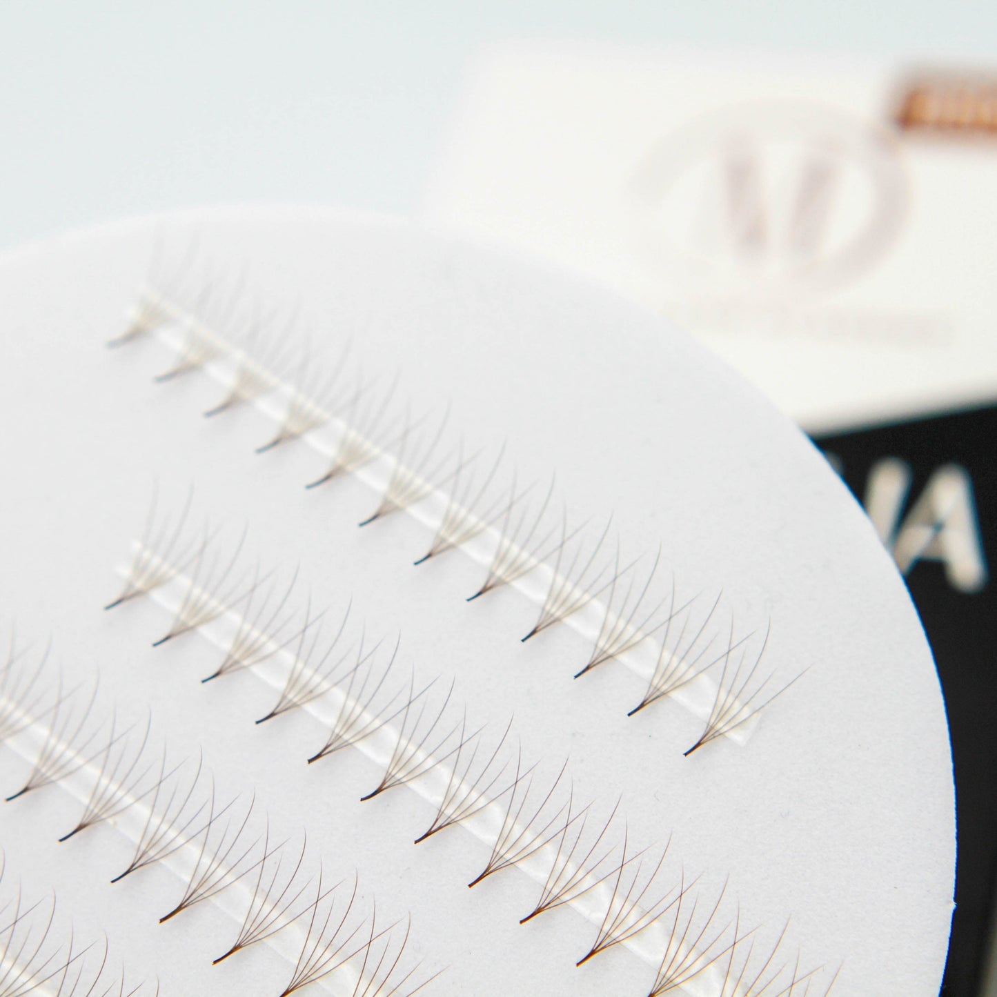 Brown Camellia 5D Rapid Promade Fans®