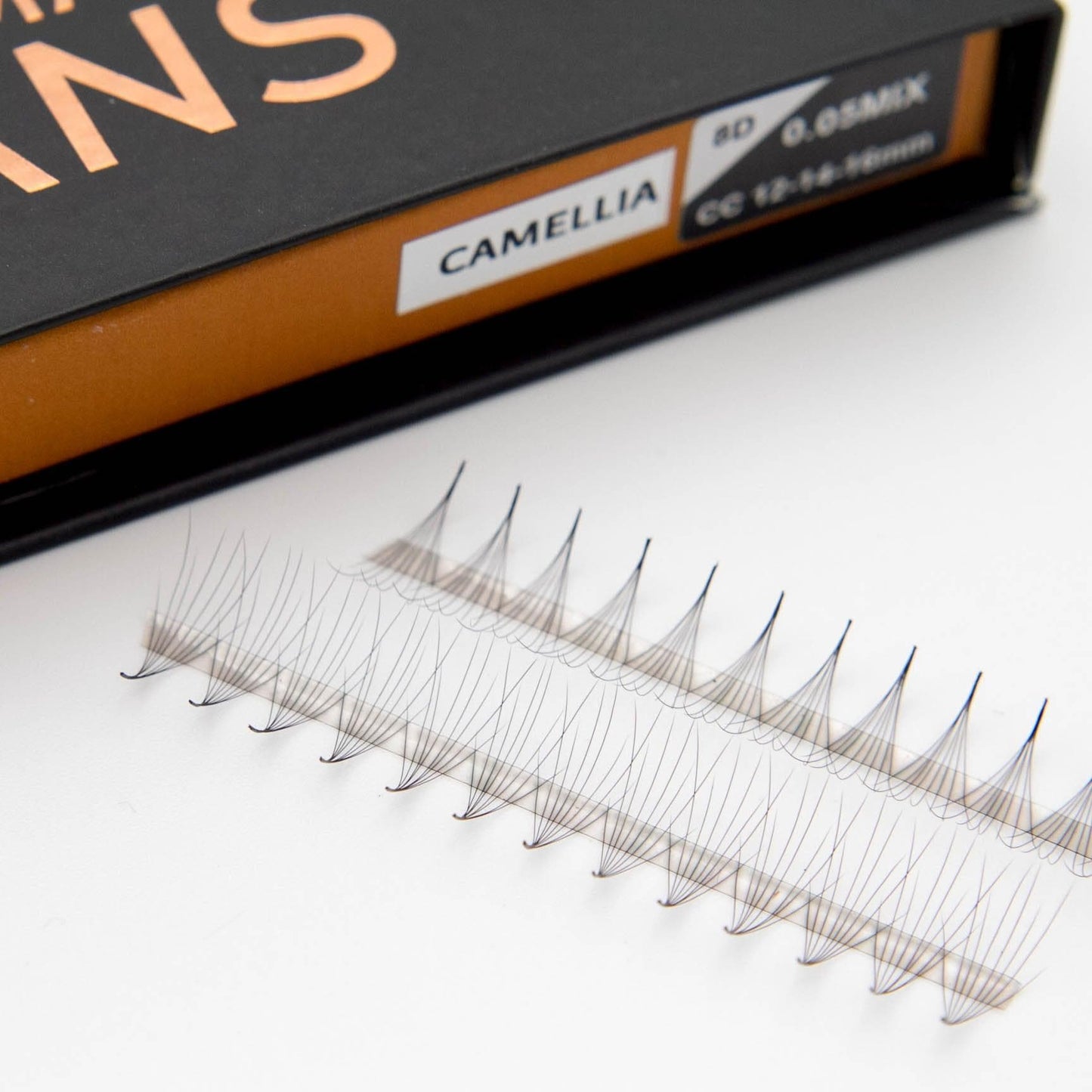 Camellia 8D Rapid Promade Fans®