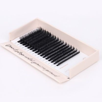 Classic Lash Tray