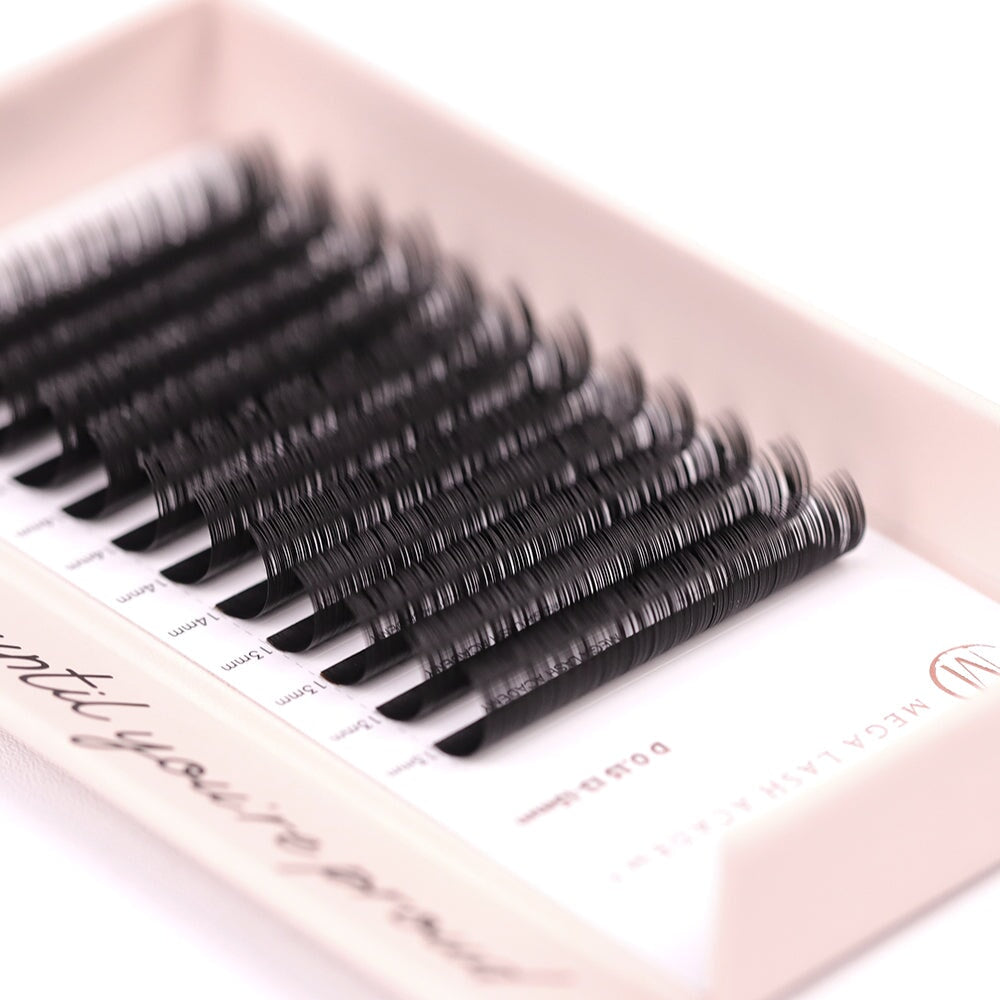 Classic Lash Tray