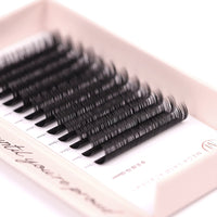 Classic Lashes 0.15 & 0.18