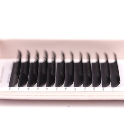 Classic Lash Tray