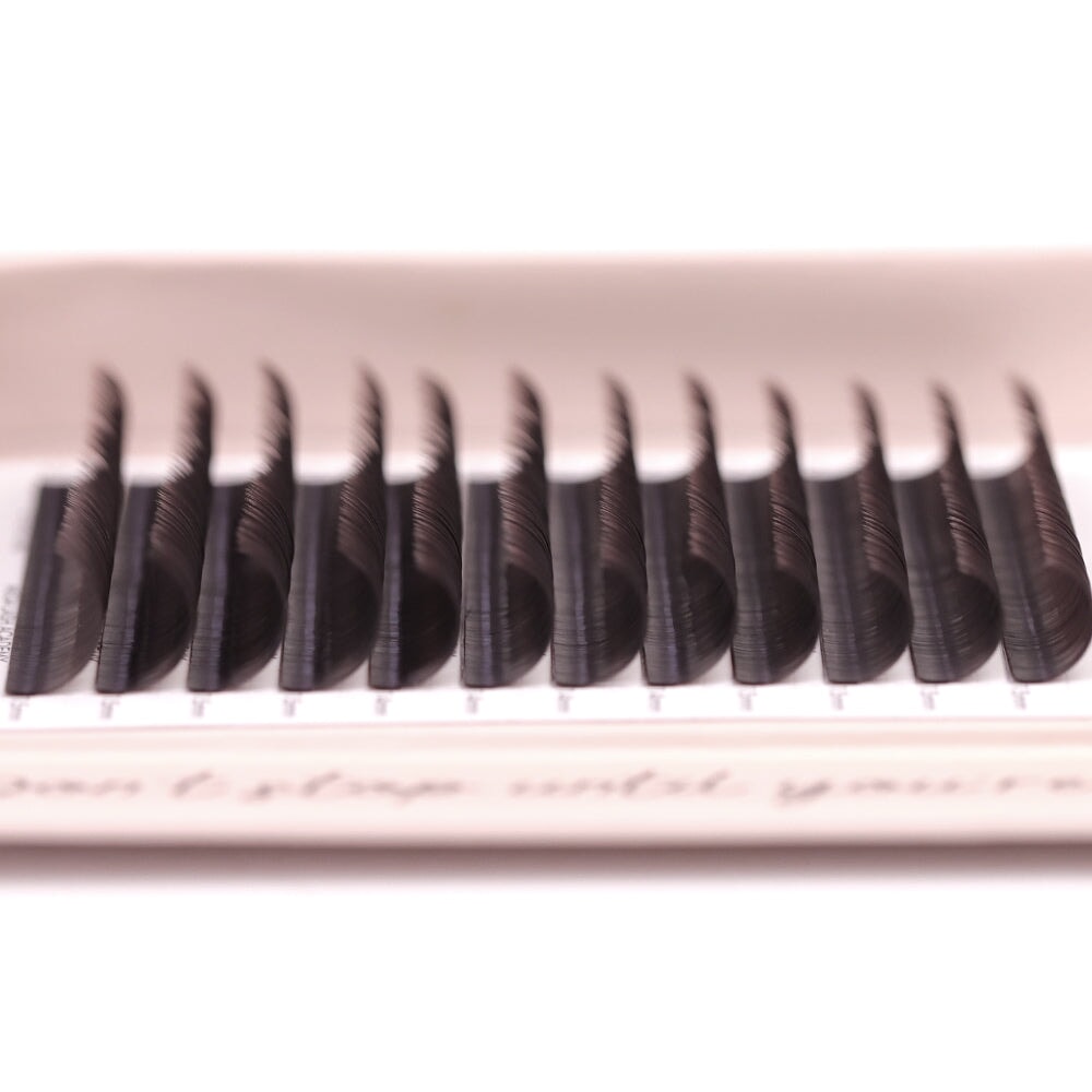 Dark Brown Classic Lash Tray