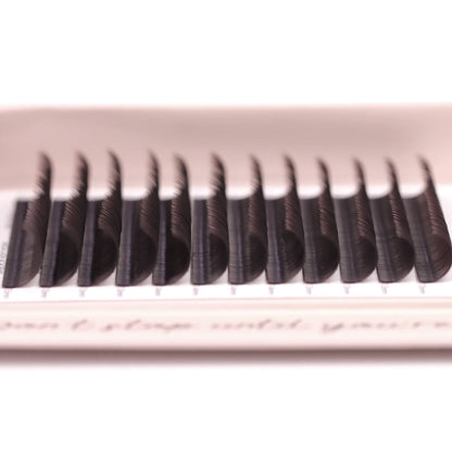 Dark Brown Classic Lash Tray