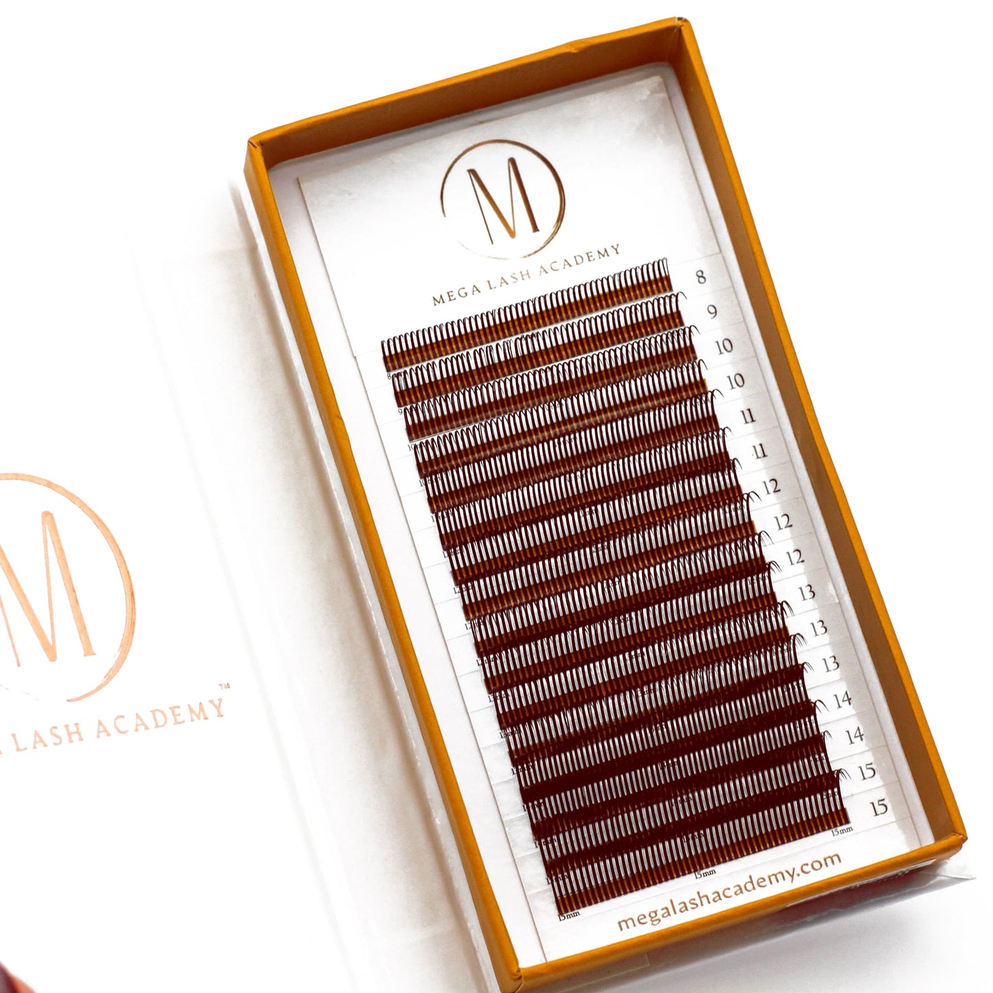 Dark Brown Closed Fans - Spikes for Wet Sets - 800 Fans