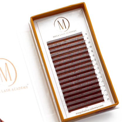 Dark Brown Closed Fans - Spikes for Wet Sets - 800 Fans