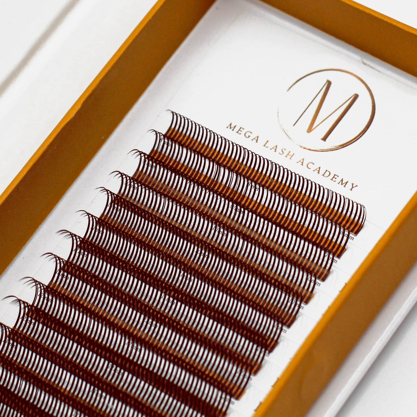 Dark Brown Closed Fans - Spikes for Wet Sets - 800 Fans