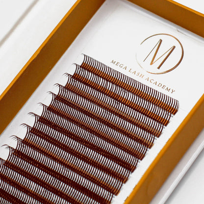 Dark Brown Closed Fans - Spikes for Wet Sets - 800 Fans