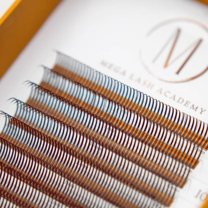 Dark Brown Closed Fans - Spikes for Wet Sets - 800 Fans