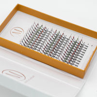 Jewel 5D Spikes