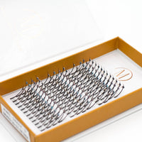 Jewel 5D Spikes