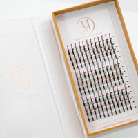 Jewel 5D Spikes