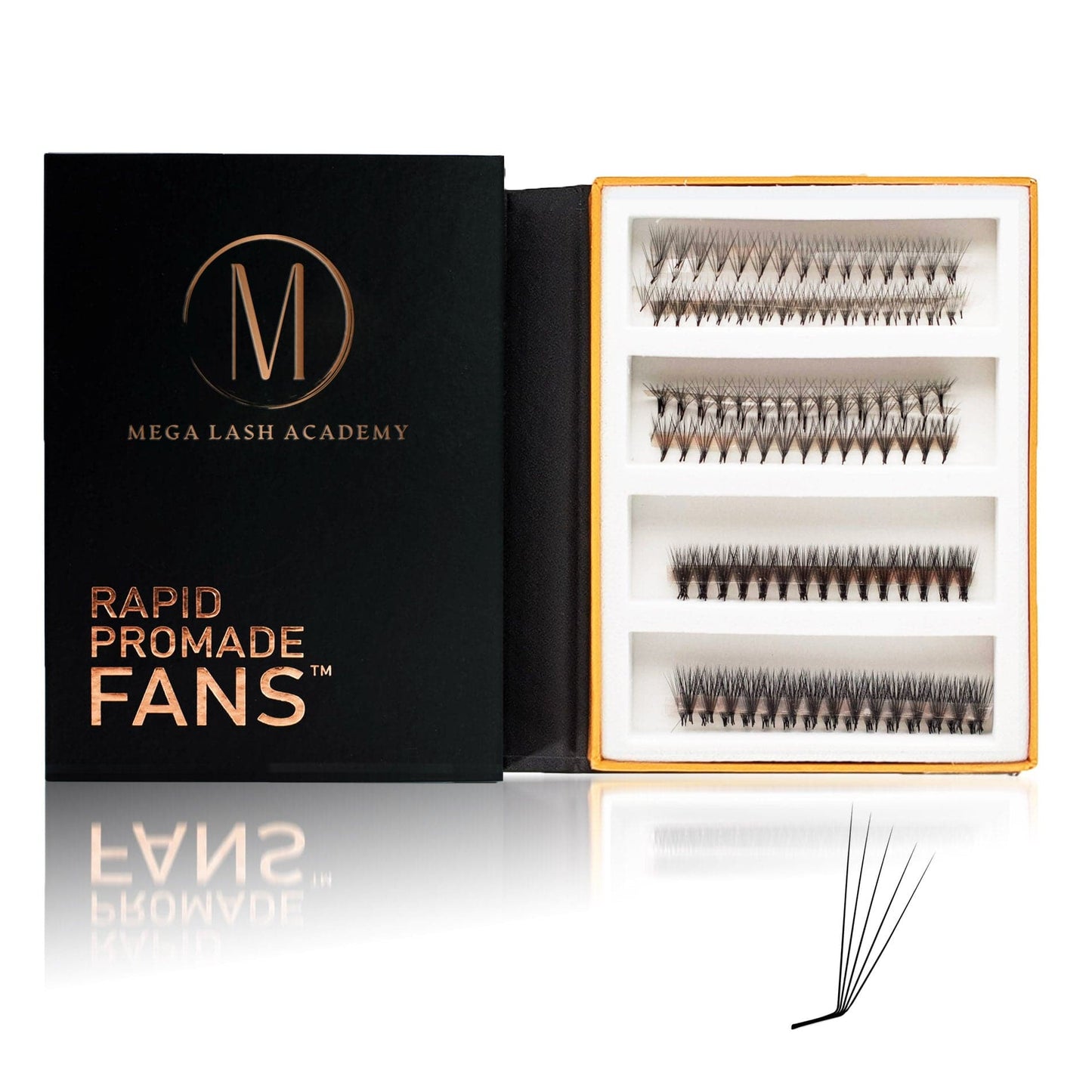 M & L Curl 5D Rapid Promade Fans - 600 Fans