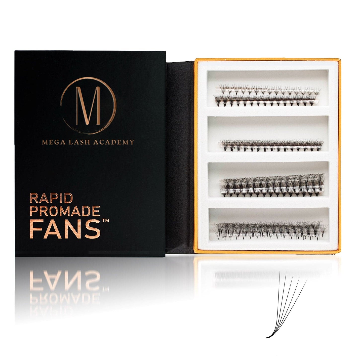 M & L Curl 5D Rapid Promade Fans - 600 Fans