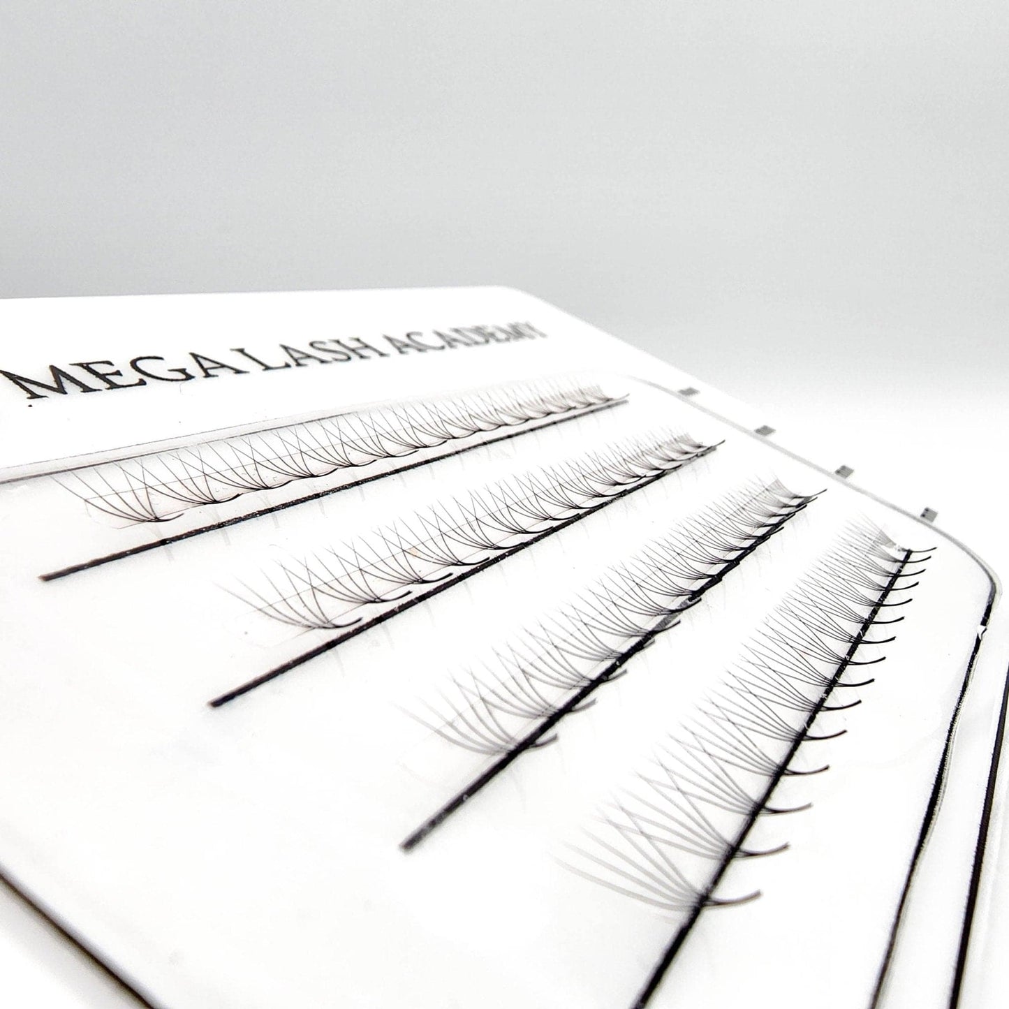 M & L Curl 5D Rapid Promade Fans - 600 Fans