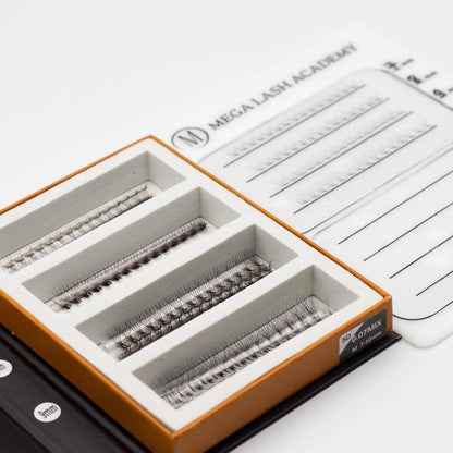 M & L Curl 5D Rapid Promade Fans - 600 Fans