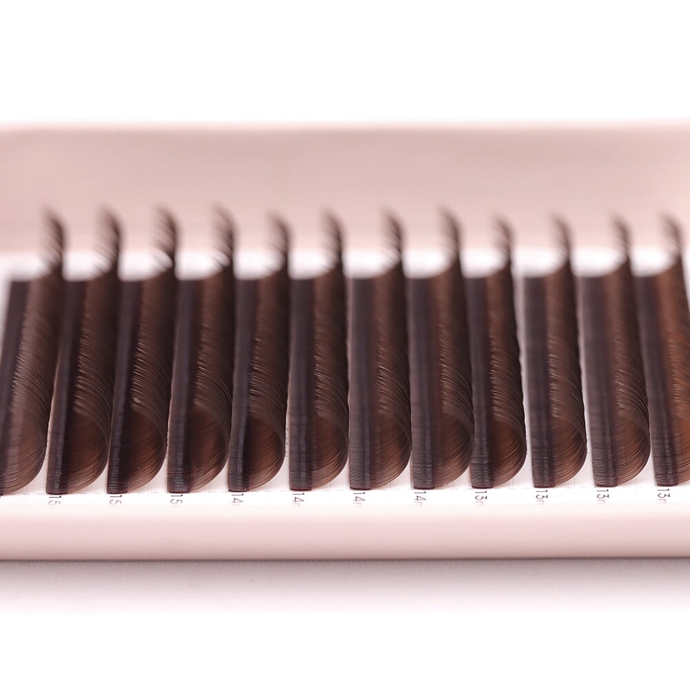 Medium Brown Classic Lash Tray
