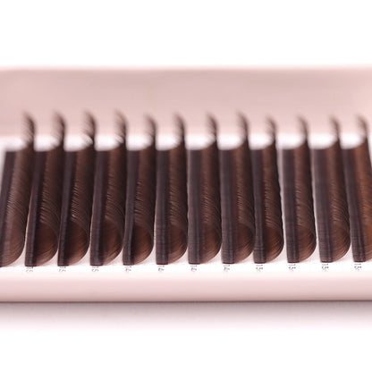 Medium Brown Classic Lash Tray