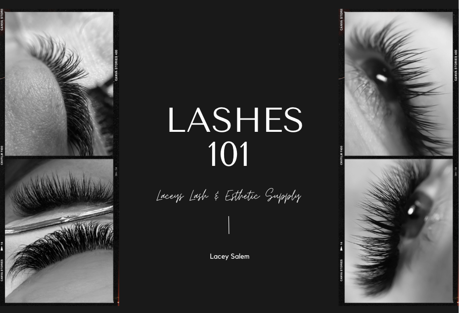 Lashes 101 Theory Manual