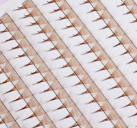 The Bold Collection: Brown Mix 10D ProMade Fans