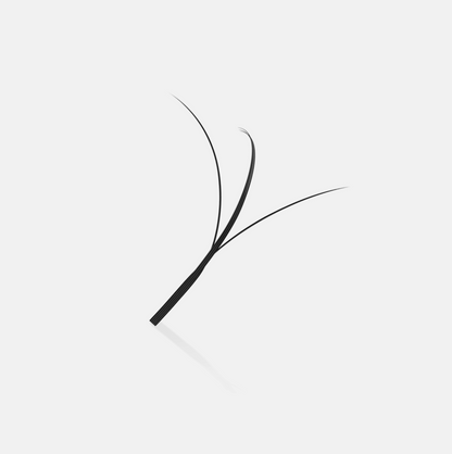 Fairy Lashes Mixed CC