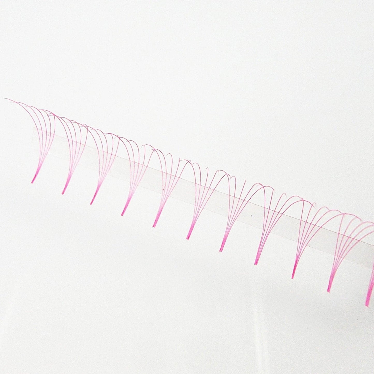 Pink 5D Rapid Promade Fans - 600 Fans